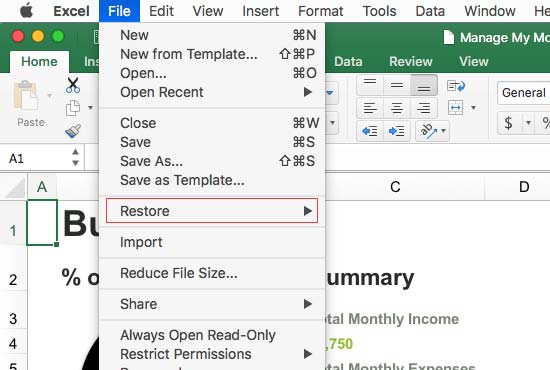 what is the most recent version of excel for mac